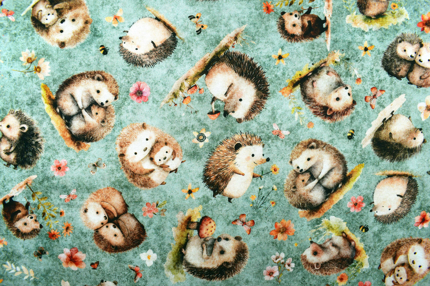 Hedgehog fabric, Quilting fabric, Hedgehugs - Price by the Half Metre
