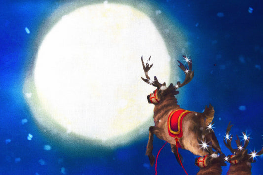 Santa's sleigh fabric panel, father Christmas Quilting panel