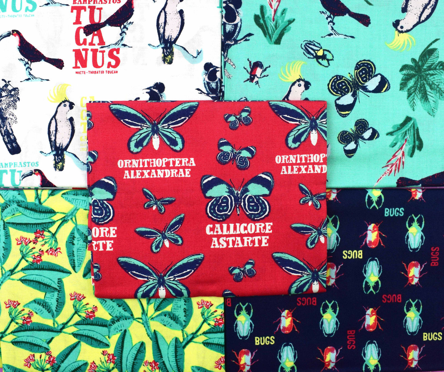 Tropical fat Quarter Bundle, Natural History Museum, Explore the tropics, quilting fabric - The Quilt Sanctuary