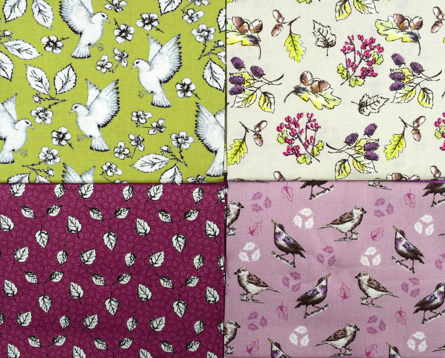 Garden Bird Fat Quarter Bundle, Quilting fabric, Debbie Shore - The Quilt Sanctuary