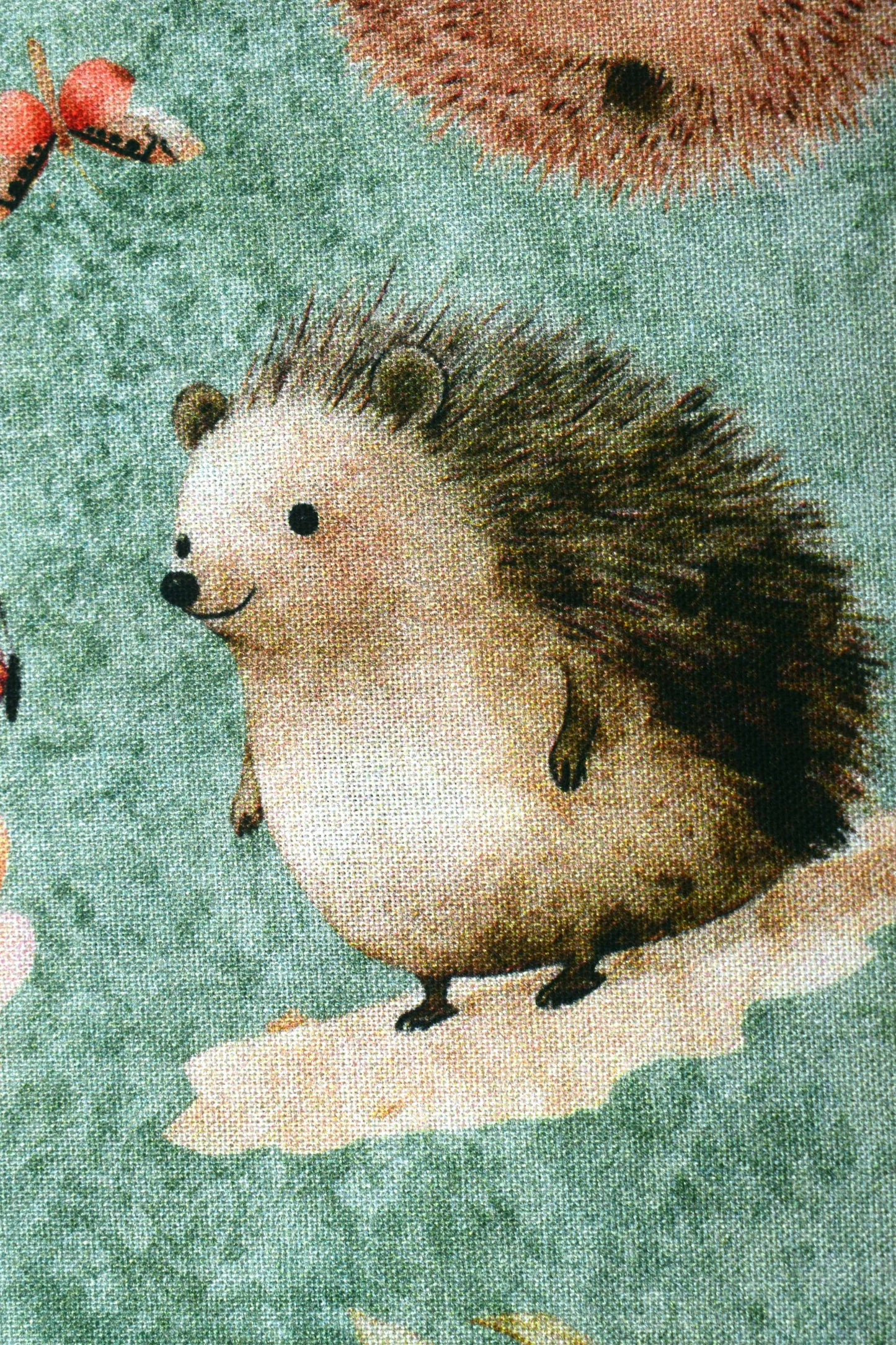 Hedgehog fabric, Quilting fabric, Hedgehugs - Price by the Half Metre