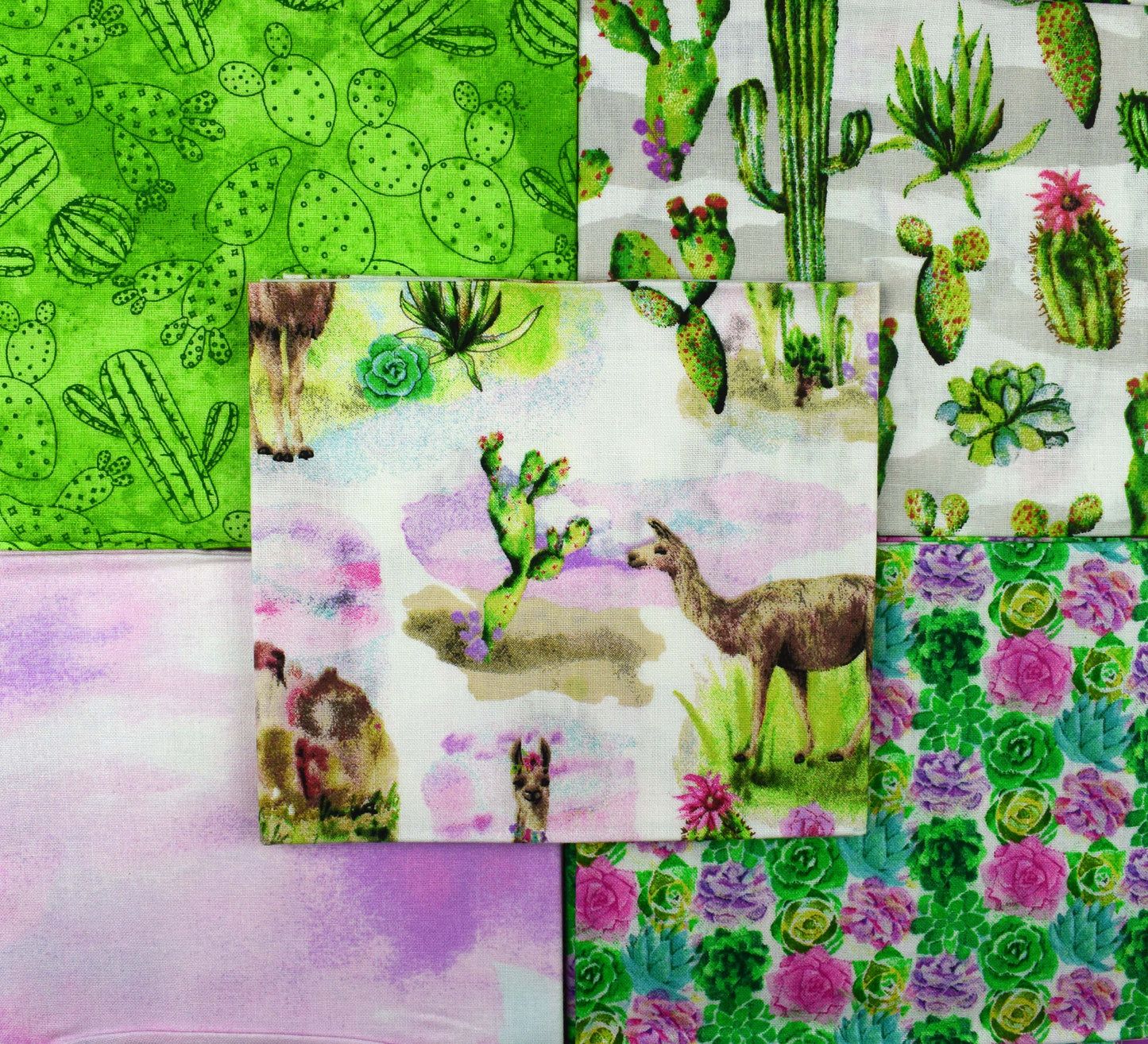 cactus fat Quarter Bundle, Cotton quilting fabric - The Quilt Sanctuary
