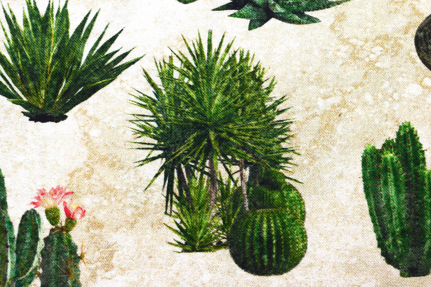 Cactus and Steer Fabric, Sedona Spirit Quilt Cotton - Price by Half Metre