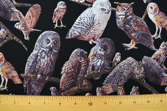 Owl Fabric, owls of North america, quilting fabric, Price by the Half Metre The Quilt Sanctuary