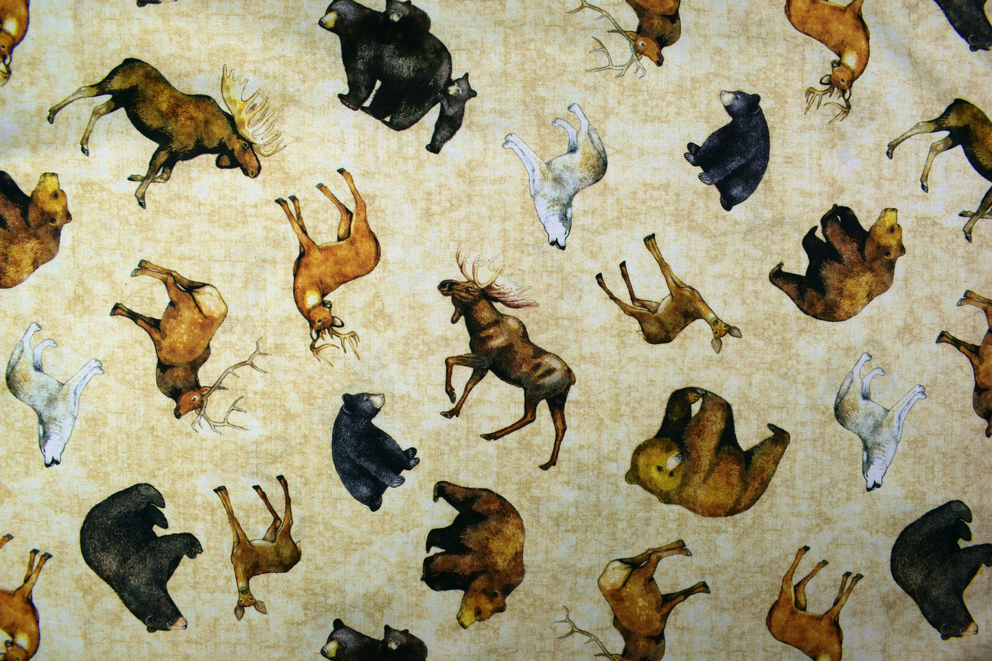 Grizzly bear fabric, Quilting fabric, cotton fabric, timberland trails - Price by the Half Metre The Quilt Sanctuary