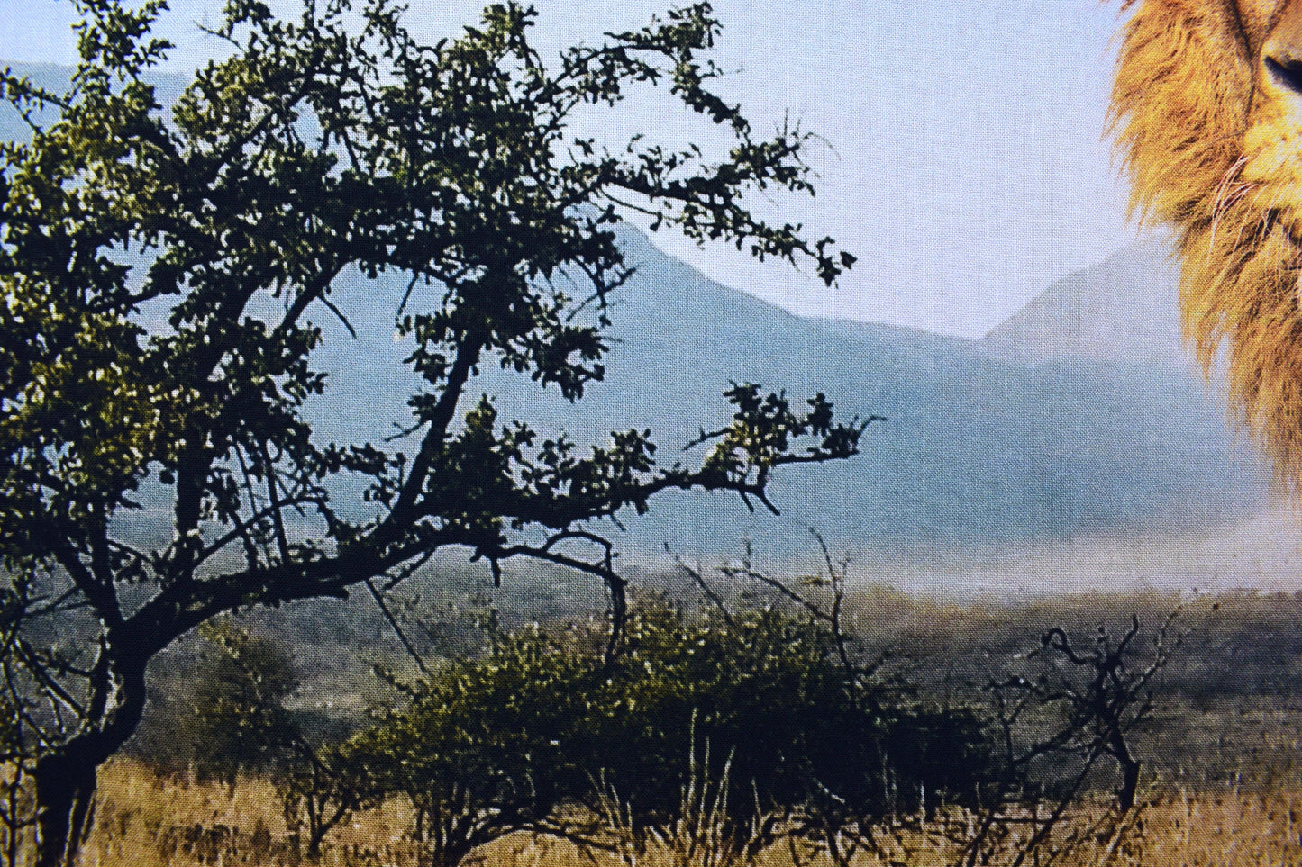 Lion fabric panel, Quilting panel, wild kingdom digital panel, Hoffman fabrics The Quilt Sanctuary