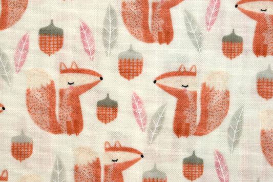 Squirrel fabric, Quilting fabric, cotton fabric, timeless Treasures - Price by the Half Metre The Quilt Sanctuary