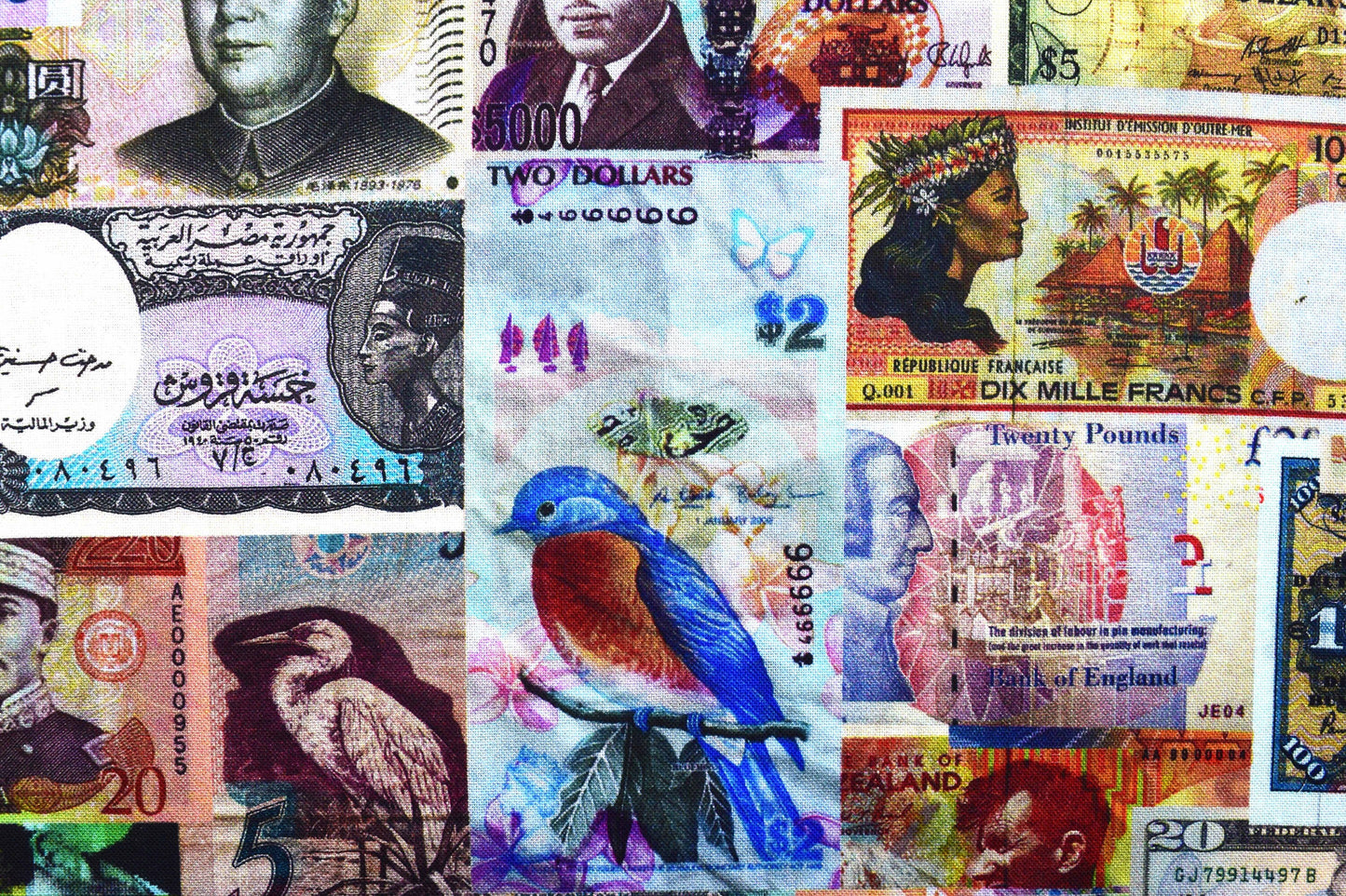 Currency fabric, quilting fabric, Library of Rarities robert Kaufman, Price by the Half Metre The Quilt Sanctuary