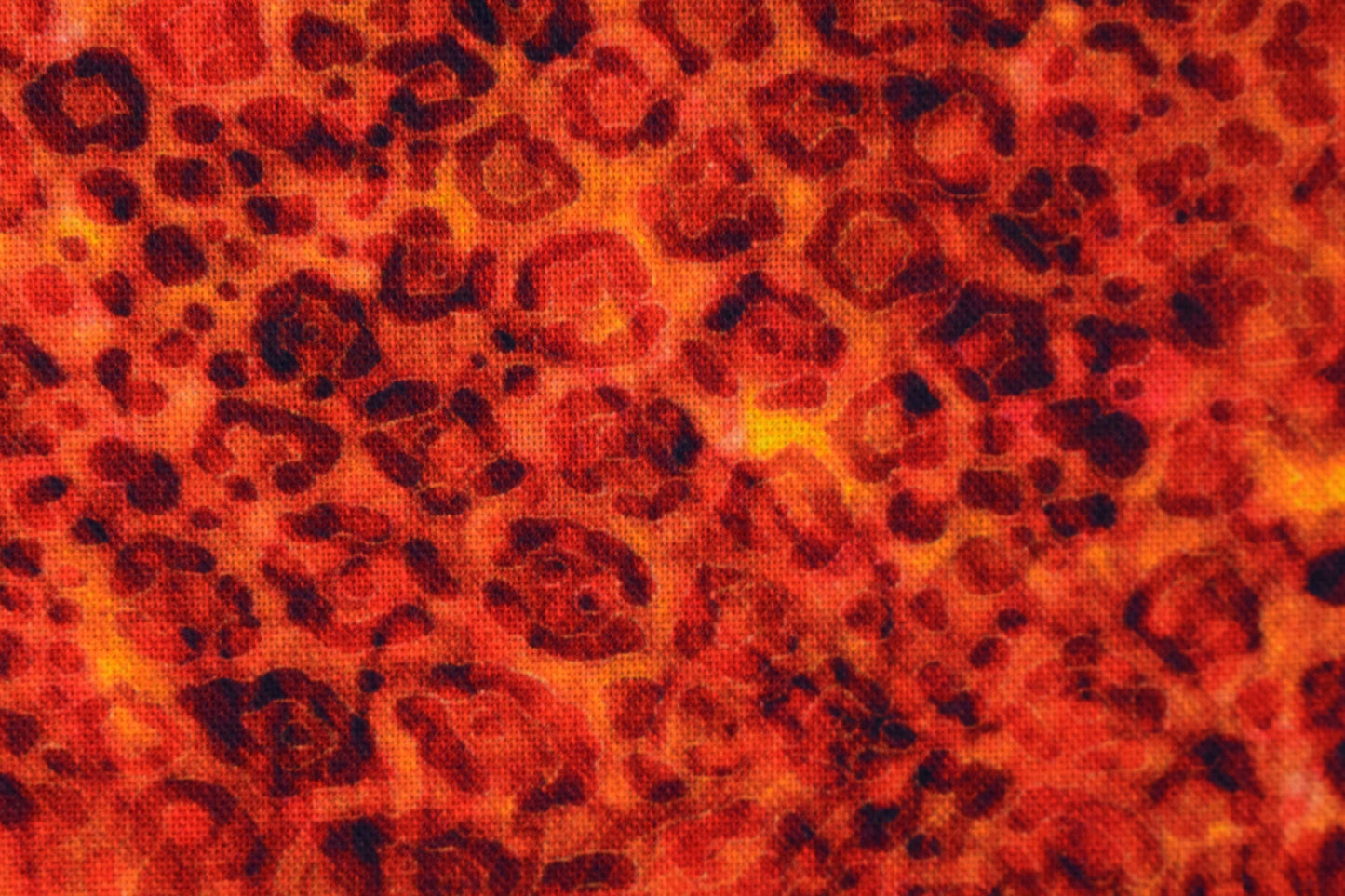 Burnt orange animal print fabric, Quilting fabric, cotton fabric, quilting treasures, Serengeti, Price by the Half Metre The Quilt Sanctuary