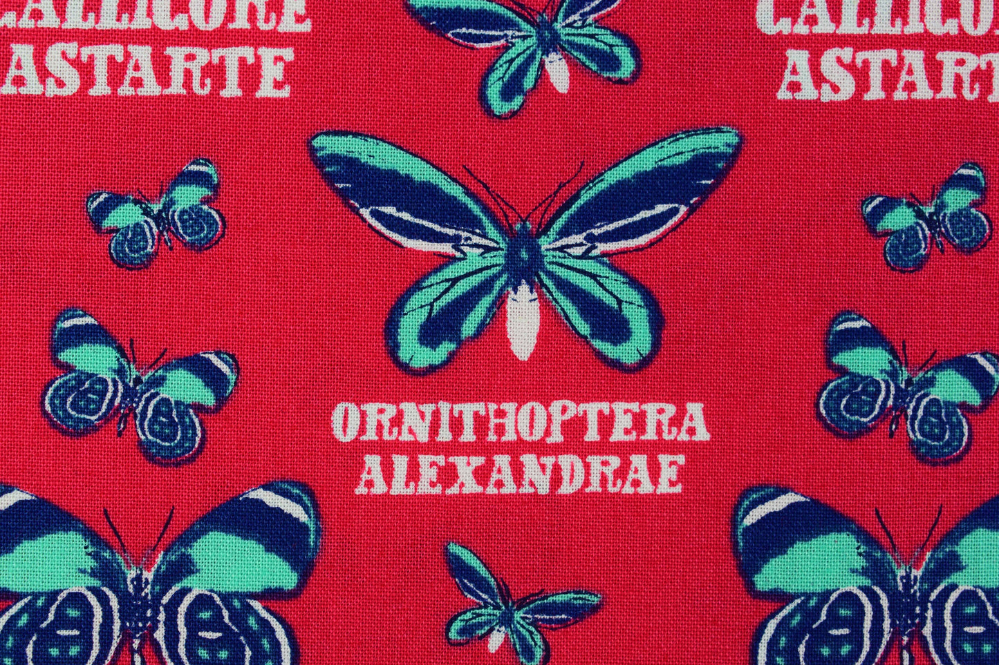 Red Butterfly Fabric, cotton quilting fabric, Explore the tropics - Price by the Half Metre The Quilt Sanctuary