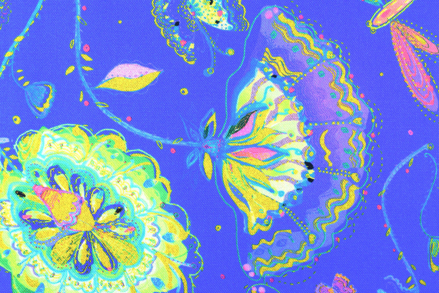 Dragonfly fabric, Quilting fabric, Dragonfly Dance, price by the half metre The Quilt Sanctuary