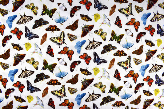 Butterfly fabric, cotton butterfly fabric, quilting fabric, Elizabeths Studio, Price by the Half Metre The Quilt Sanctuary