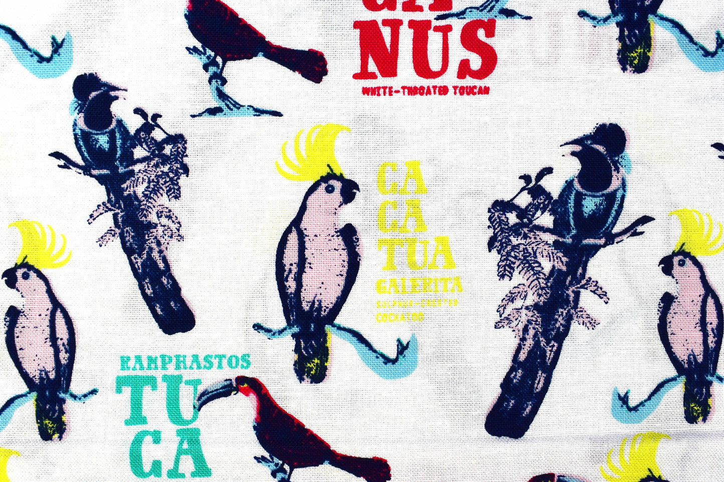 Toucan Fabric, birds of paradise cotton quilting fabric, Explore the tropics - Price by the Half Metre The Quilt Sanctuary