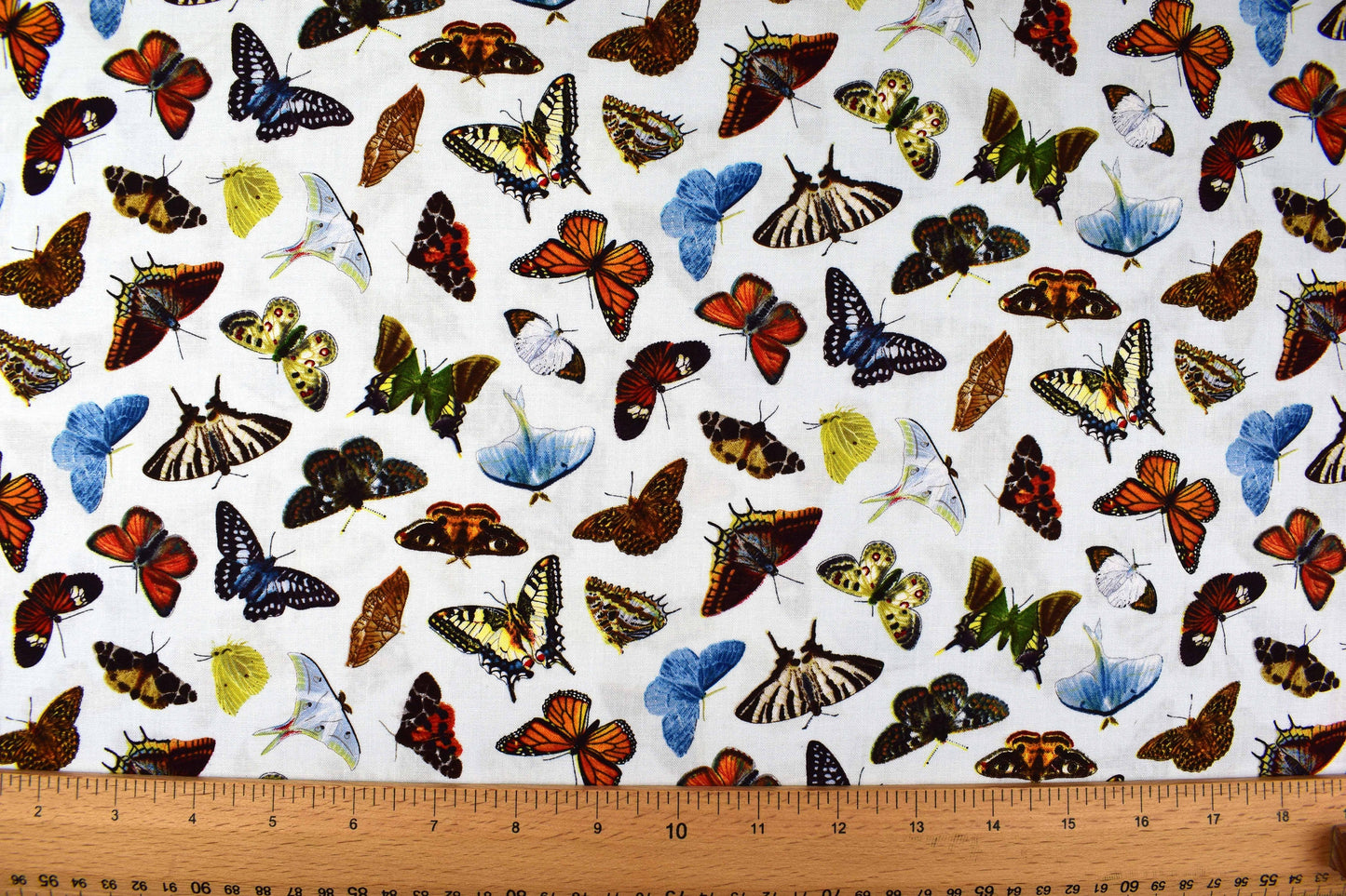 Butterfly fabric, cotton butterfly fabric, quilting fabric, Elizabeths Studio, Price by the Half Metre The Quilt Sanctuary