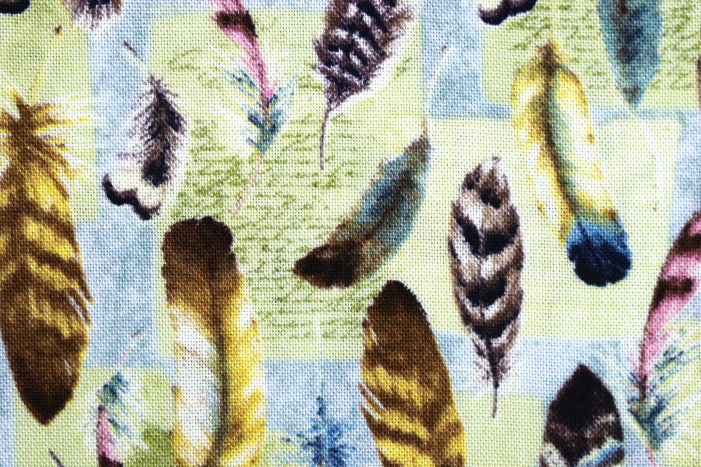 Feathers fabric, bird feathers, Quilting fabric, cotton fabric, Forest study - Price by the Half Metre The Quilt Sanctuary