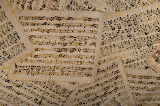 Music Extra wide backing fabric, cotton quilting fabric, price per half metre The Quilt Sanctuary