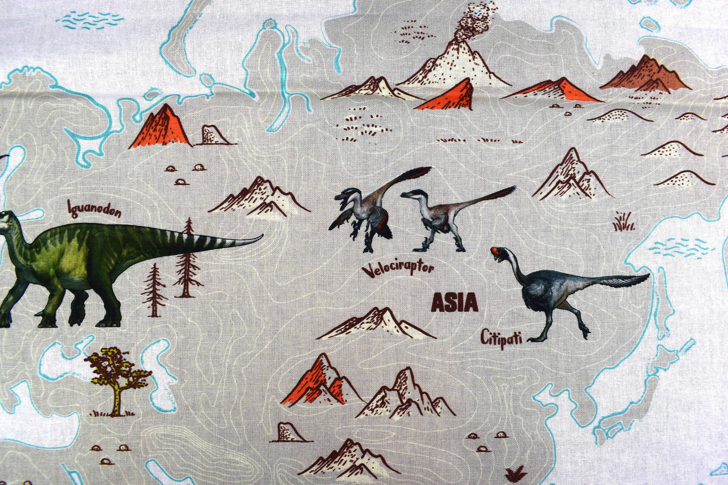 Dinosaur Atlas fabric panel, Natural history Museum, Quilting fabric The Quilt Sanctuary