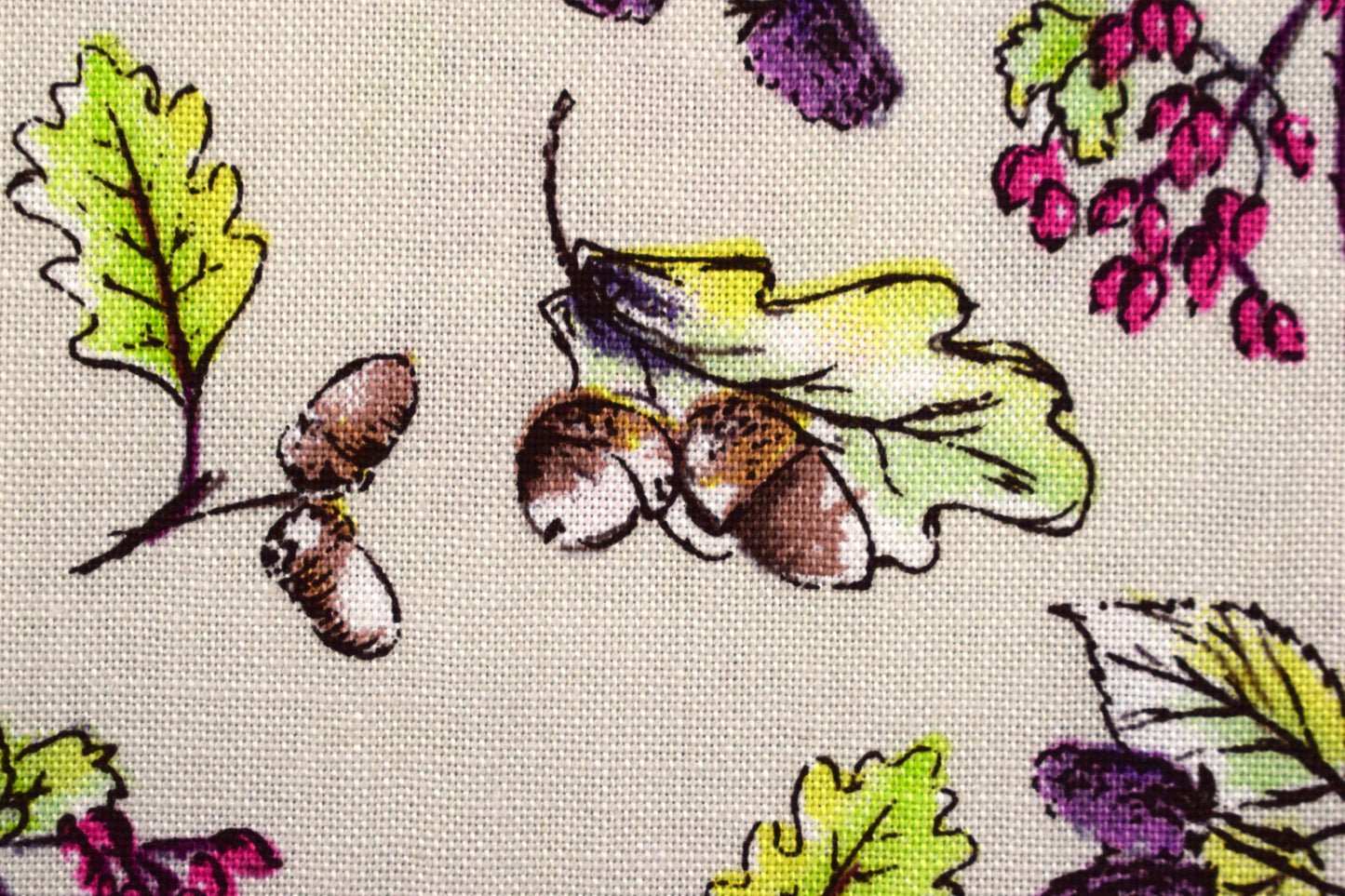 Acorn Fabric, Debbie Shore, Quilting fabric, cotton fabric The Quilt Sanctuary