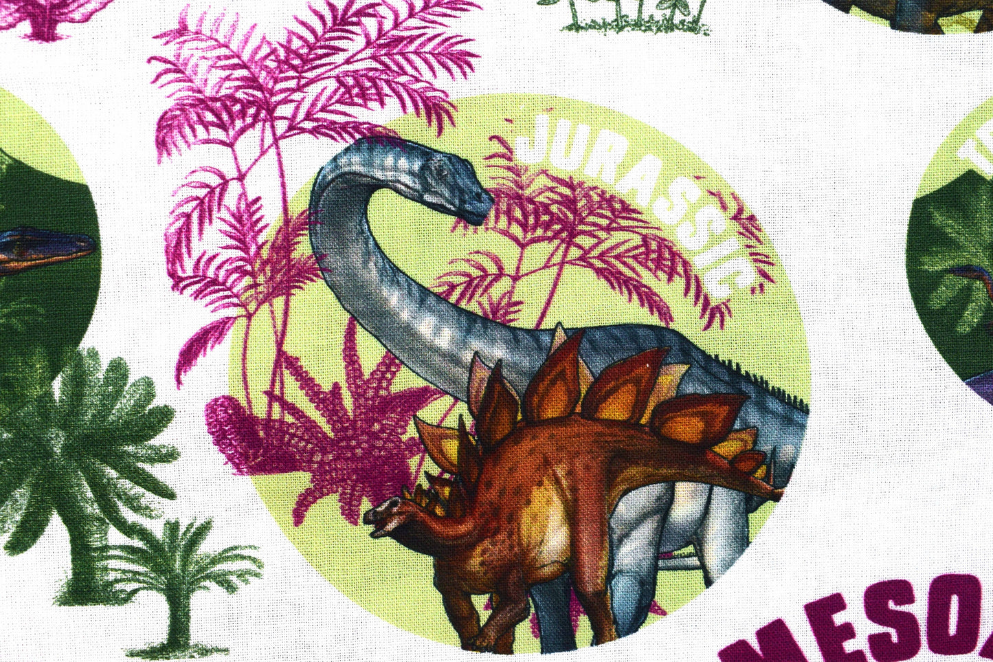 Dinosaur Era fabric, Quilting fabric, cotton fabric, Childrens fabric - Price by the Half Metre The Quilt Sanctuary