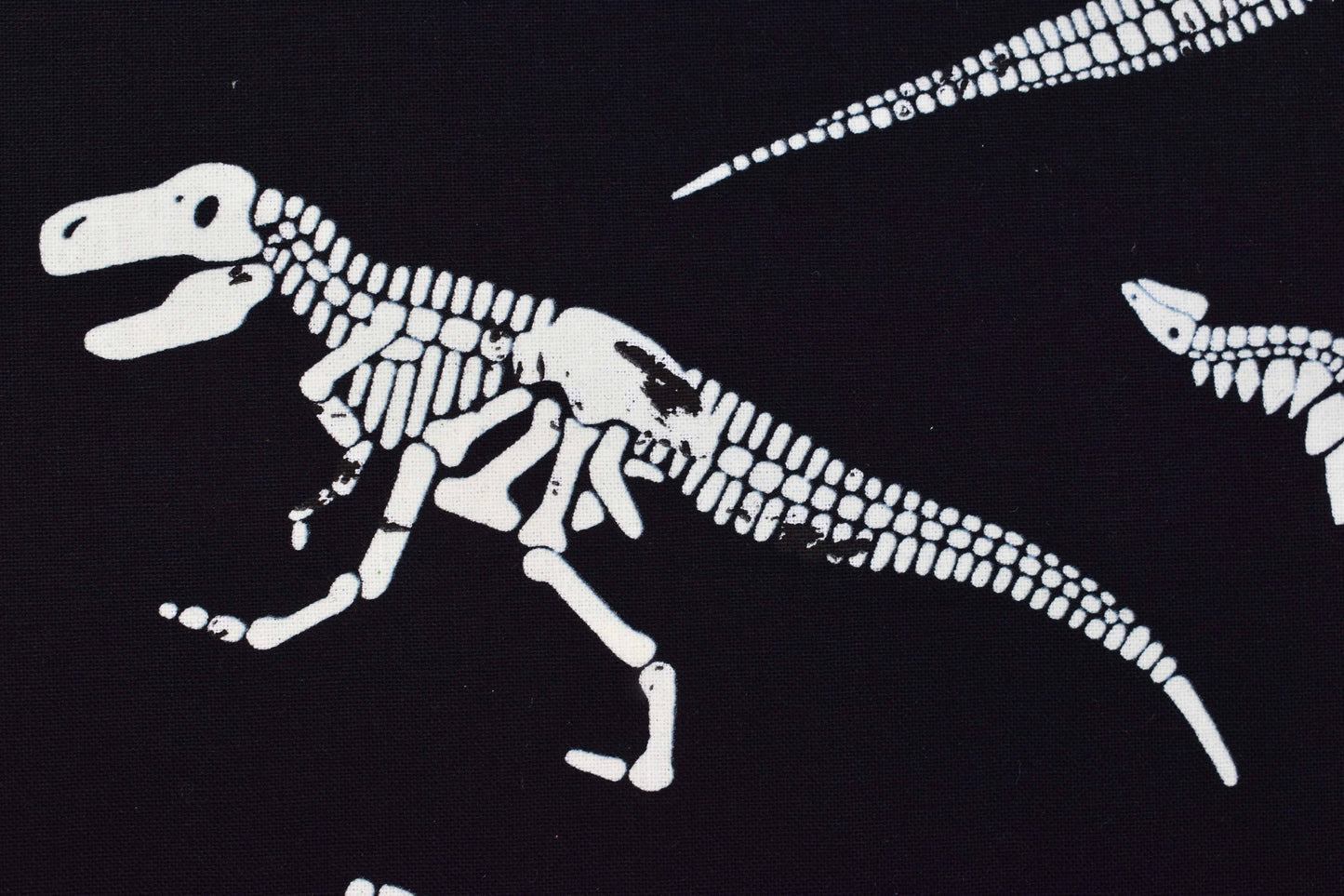Glow in the dark dinosaur Fabric, Quilting fabric, cotton fabric, Dinosaur Bones Price by the Half Metre The Quilt Sanctuary