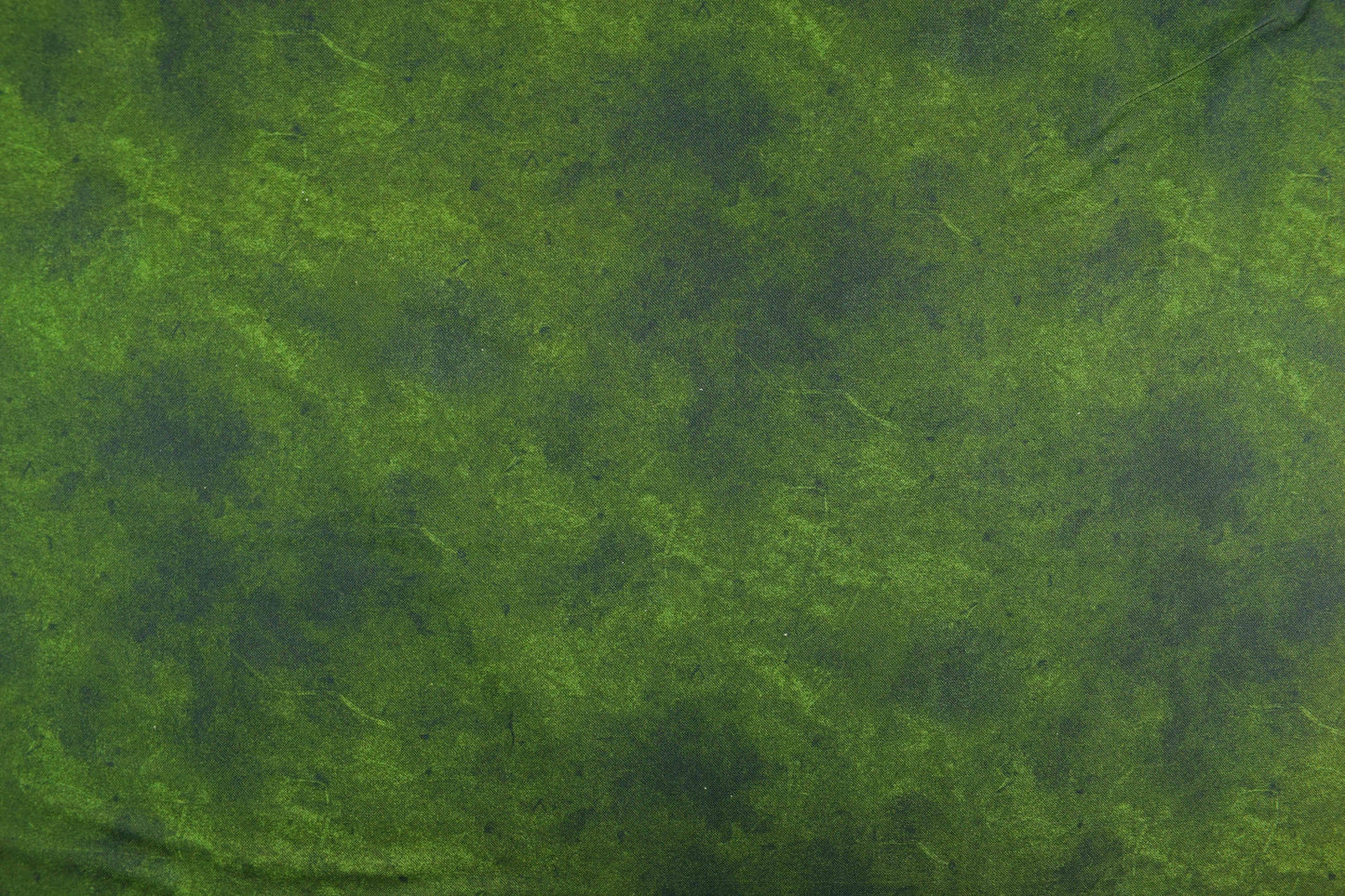 Holly Green Extra wide quilt backing fabric, cotton quilting fabric - price per half metre The Quilt Sanctuary