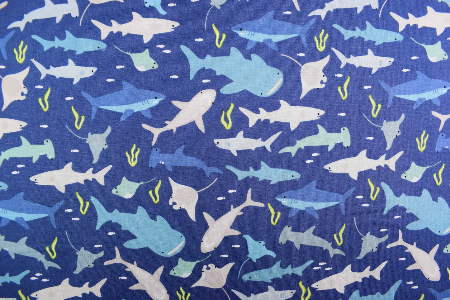 Shark fabric, Quilting fabric, cotton fabric, Riley Blake designs - Price by the Half Metre The Quilt Sanctuary