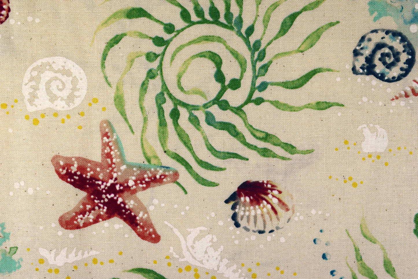 Sea Shell Fabric, cotton quilting fabric, Sunset Coast - Price by the Half Metre The Quilt Sanctuary