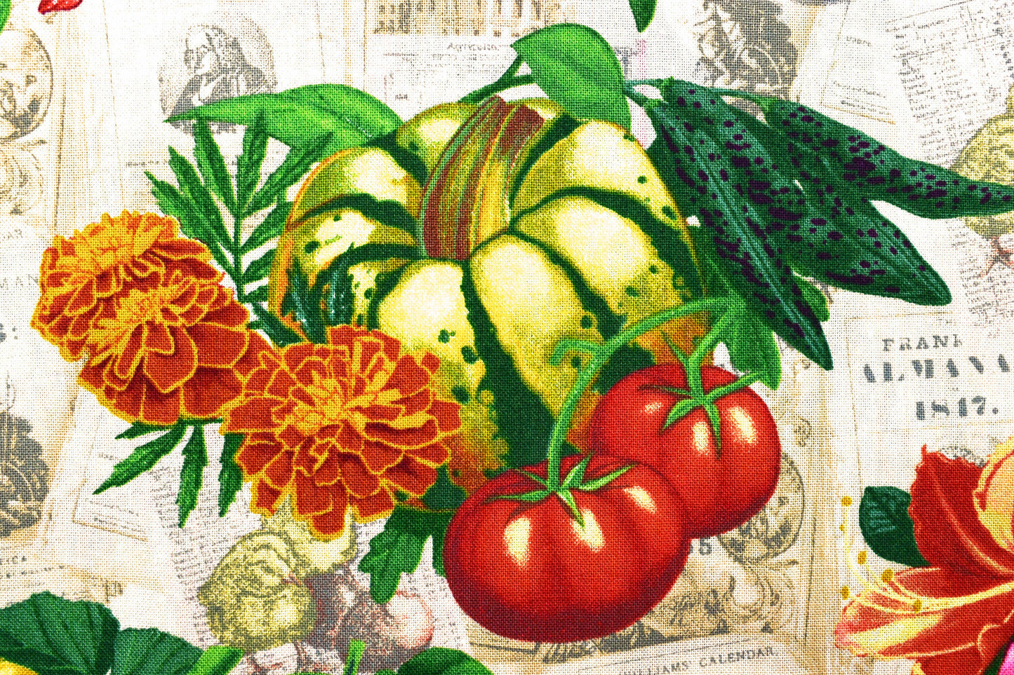 Vegetable fabric, Vegetable patch quilting fabric, old farmers almanac - Price by the Half Metre The Quilt Sanctuary