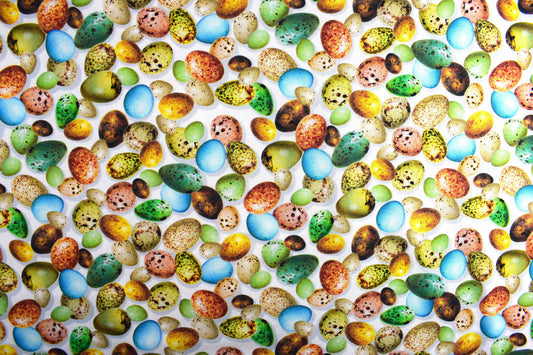 Birds eggs fabric , Quilting fabric, cotton fabric, Hummingbird Garden- Price by the Half Metre The Quilt Sanctuary