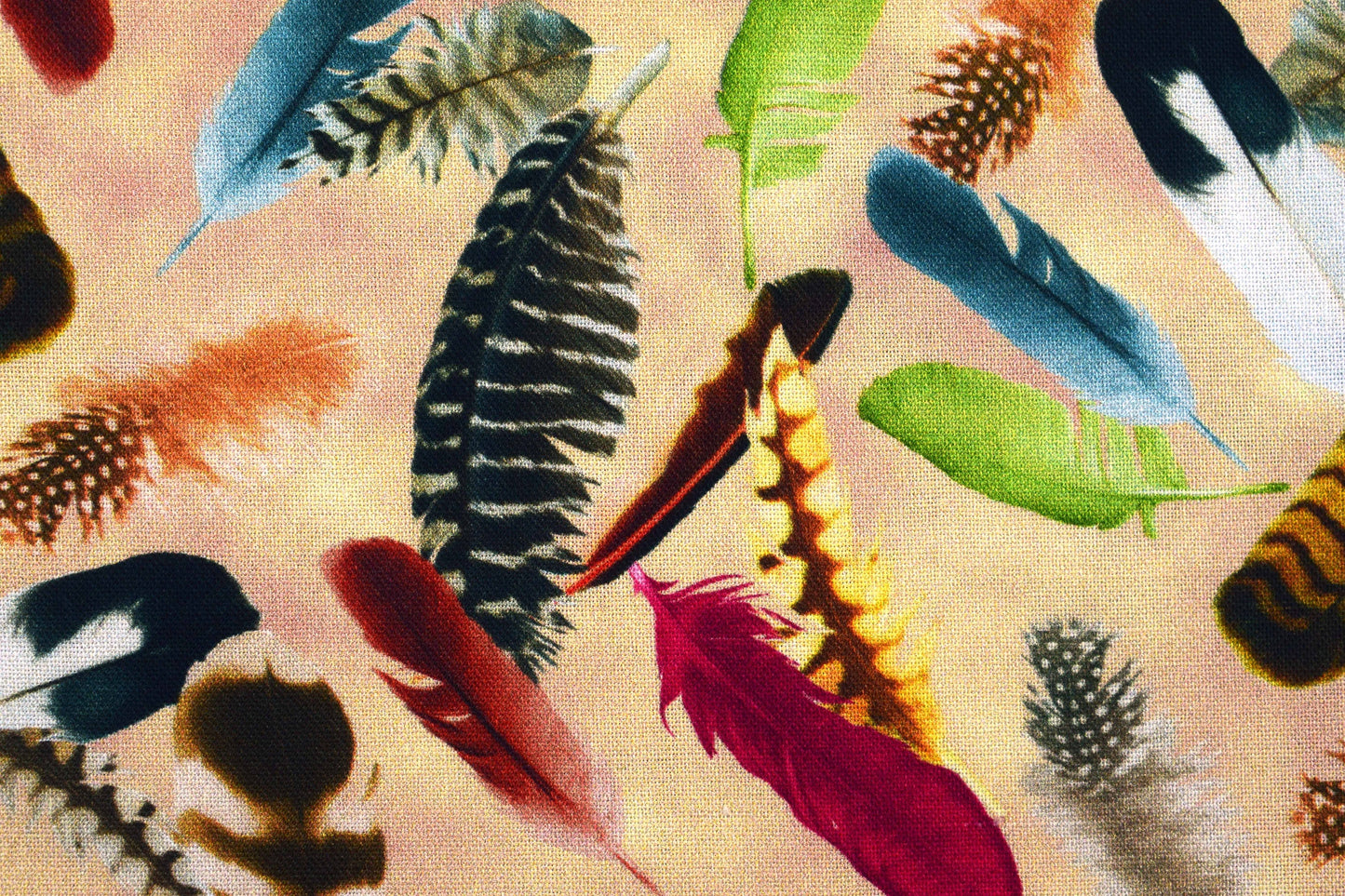 Feathers fabric, bird feathers, Quilting fabric, cotton fabric, Hummingbird Garden - Price by the Half Metre The Quilt Sanctuary