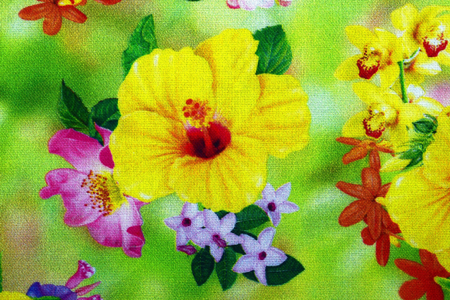 Hibiscus fabric, yellow floral fabric, quilting fabric, cotton fabric, wildflower farm - Price by the Half Metre The Quilt Sanctuary