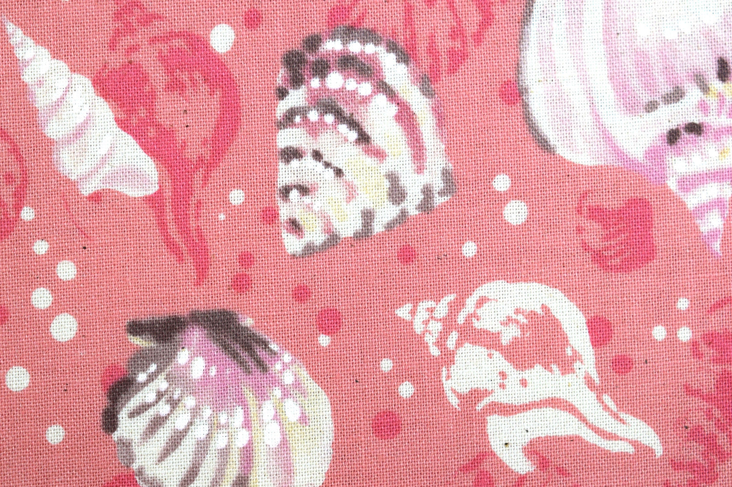 starfish and Shell Fabric, cotton quilting fabric, Sunset Coast - Price by the Half Metre The Quilt Sanctuary