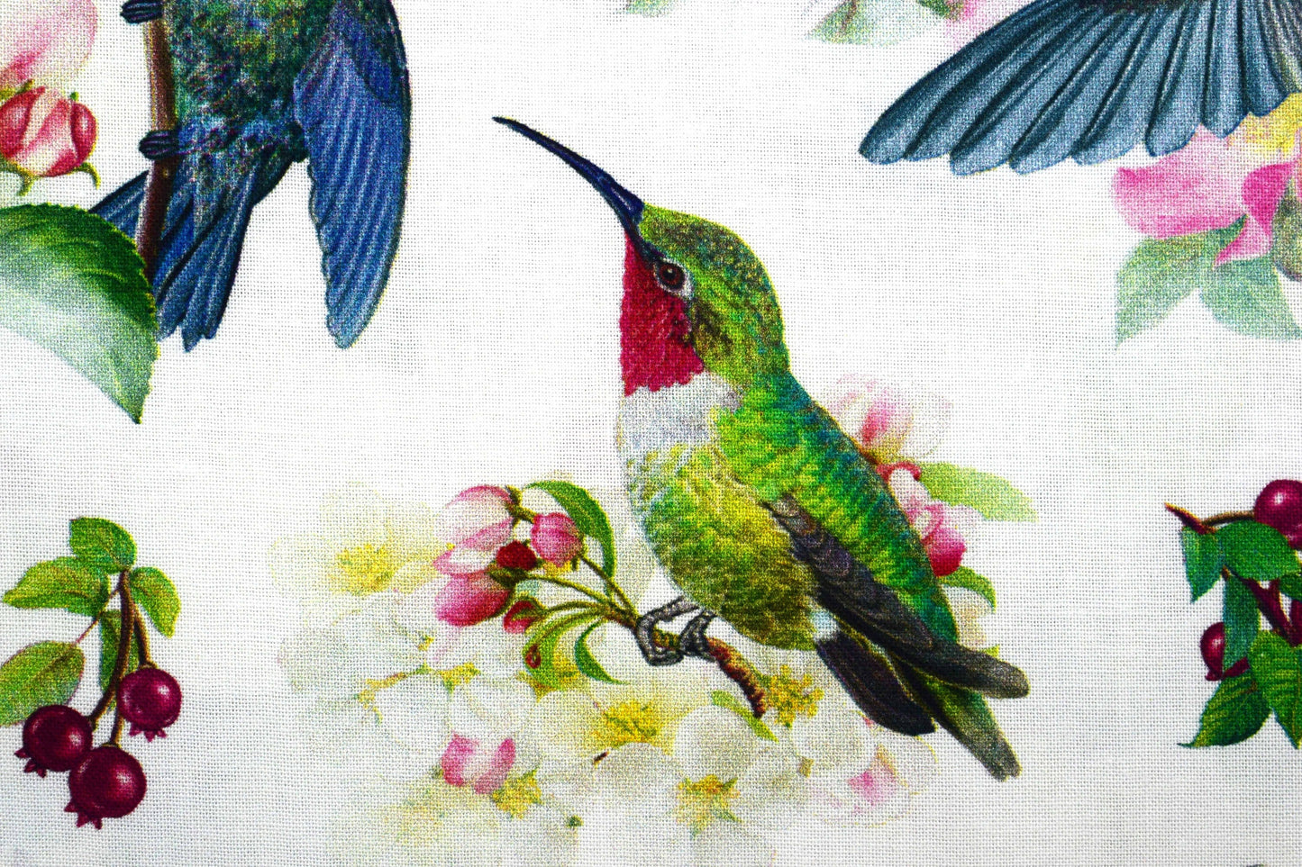 Hummingbird fabric , Quilting fabric, cotton fabric, Hummingbird Garden- Price by the Half Metre The Quilt Sanctuary