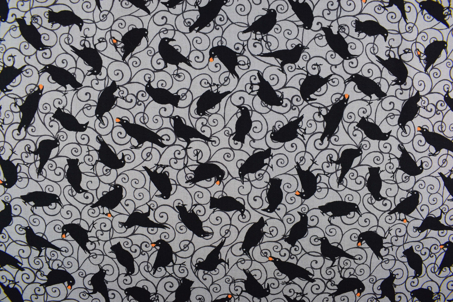 Raven fabric, Halloween fabric, Quilting fabric, cotton fabric, Spooky nights - Price per half Metre The Quilt Sanctuary