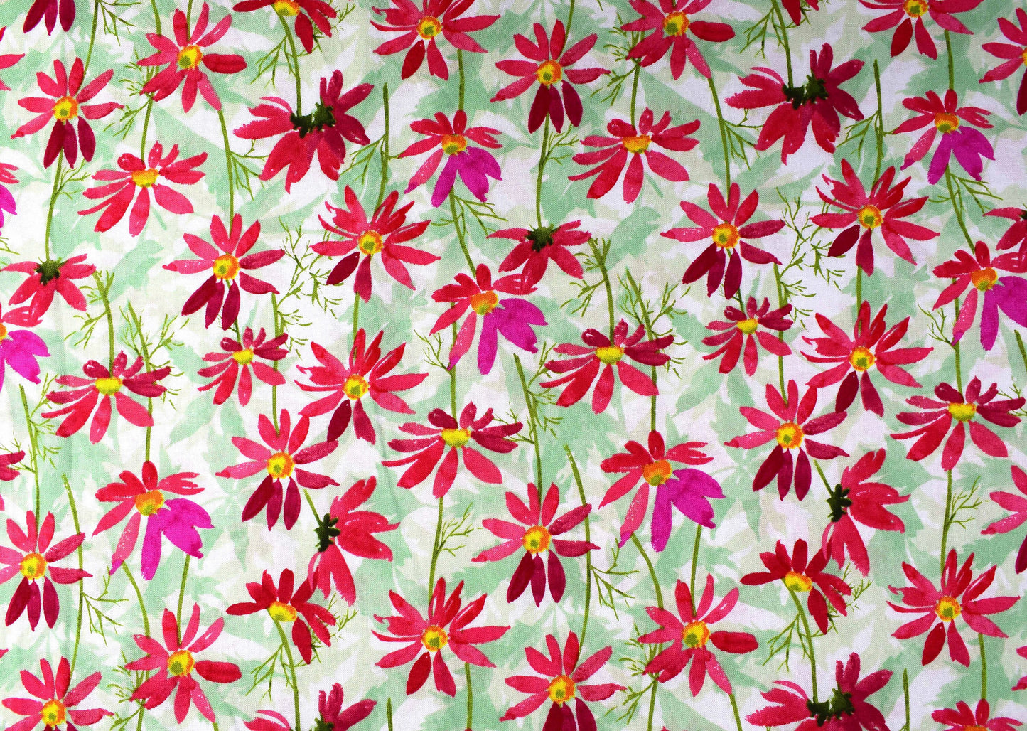 Red Daisy fabric, Cotton Quilting Fabric, Flower Shop - Price by the Half Metre The Quilt Sanctuary