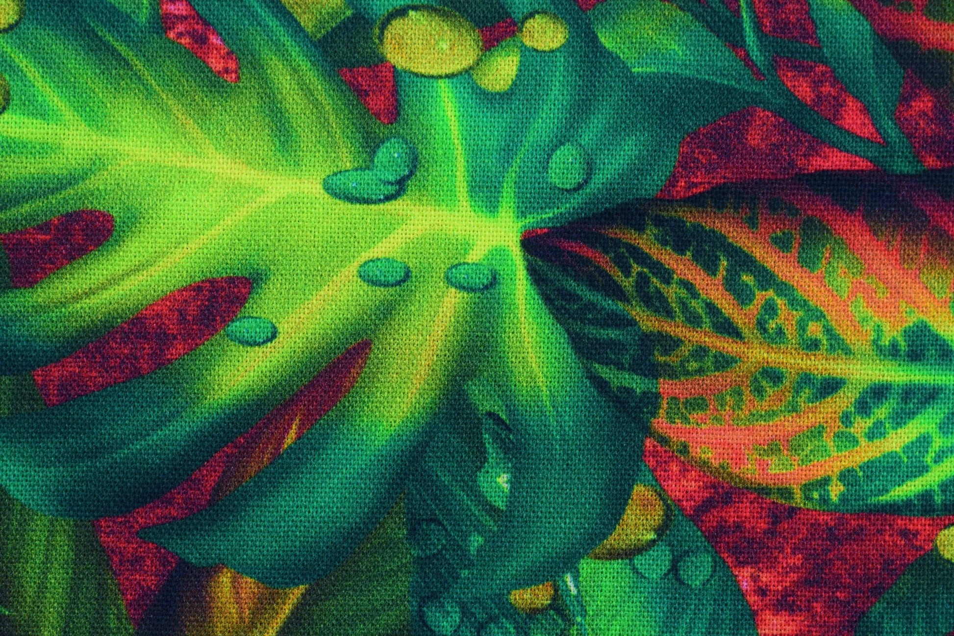 Rain forest fabric, Quilting fabric, cotton fabric, tropical foliage fabric, Price by the Half Metre The Quilt Sanctuary