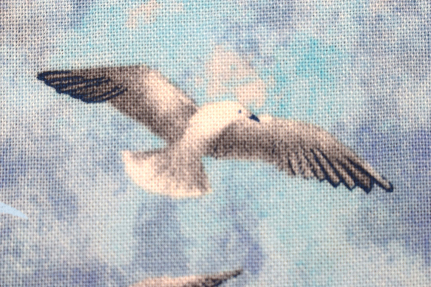 Seagull fabric, Quilting fabric, seabird fabric, Safe Harbour range, price by the half metre The Quilt Sanctuary