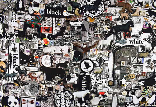 black and White quilting fabric, Color Collage, black and white images, cotton fabric Price by the Half Metre The Quilt Sanctuary