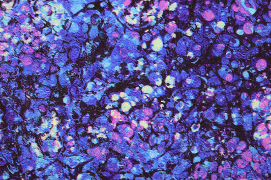 Blue abstract fabric, Dragon Scales, Quilting fabric, cotton fabric, Dragon Fire - Price by the Half Metre The Quilt Sanctuary