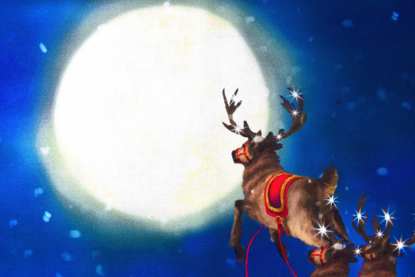 Santa's sleigh fabric panel, father Christmas Quilting  panel