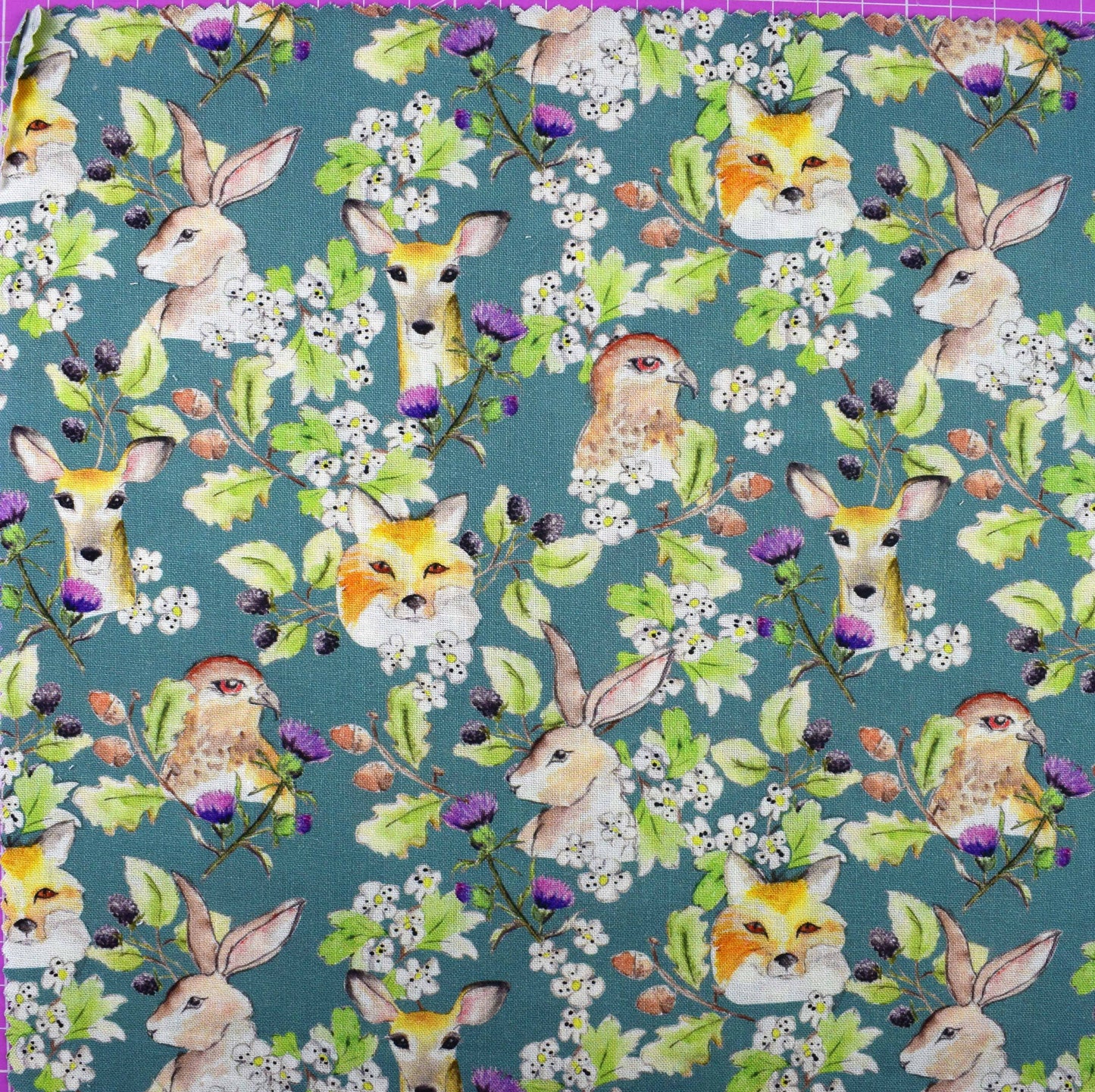 Country Walks by Debbie Shore, Organic Cotton Charm Pack - The Quilt Sanctuary