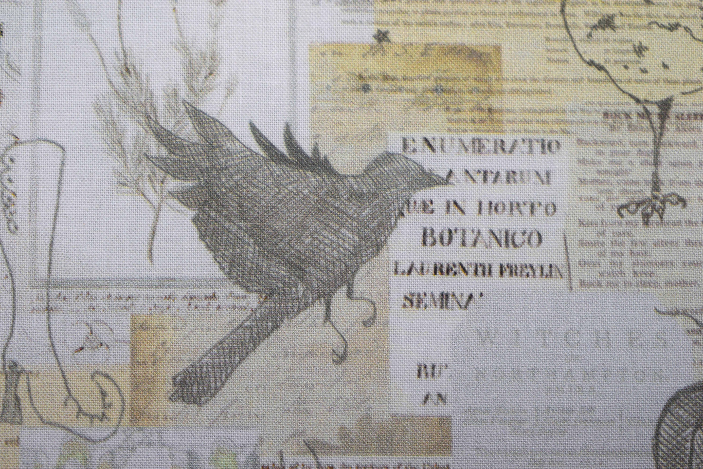 Witchcraft Halloween Quilting Fabric, Gothic Newspaper Print Cotton- Price per half Metre - The Quilt Sanctuary