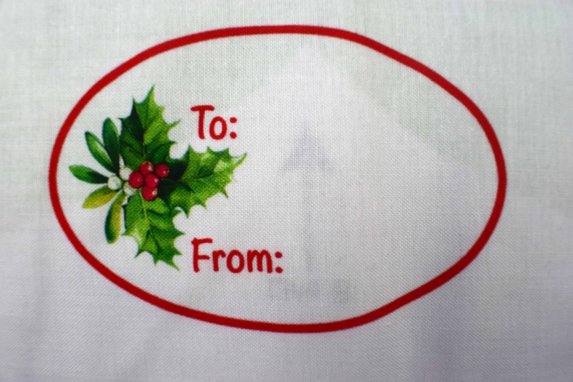 Christmas tree skirt panel, Here comes Santa, Quilting fabric - NOT FINISHED PRODUCT panel only - The Quilt Sanctuary