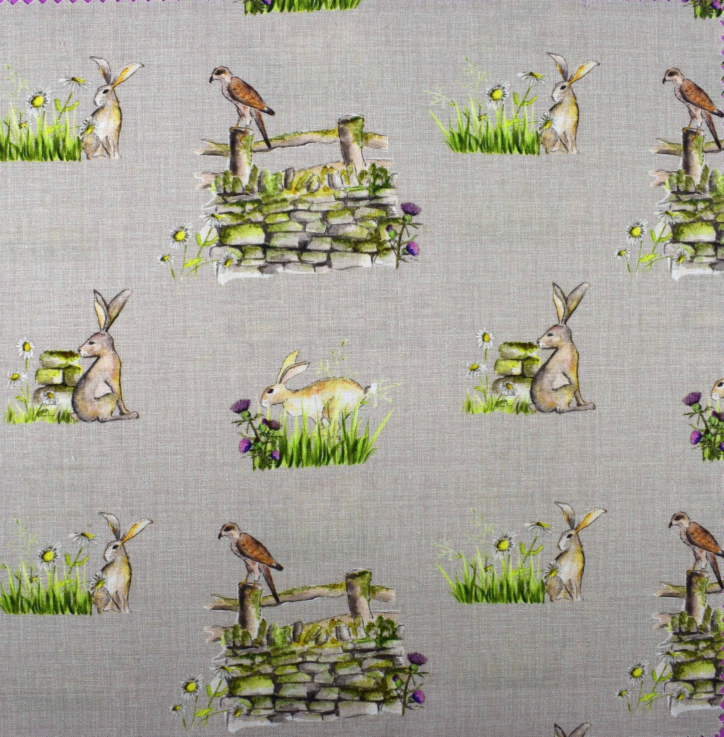 Country Walks by Debbie Shore, Organic Cotton Charm Pack - The Quilt Sanctuary