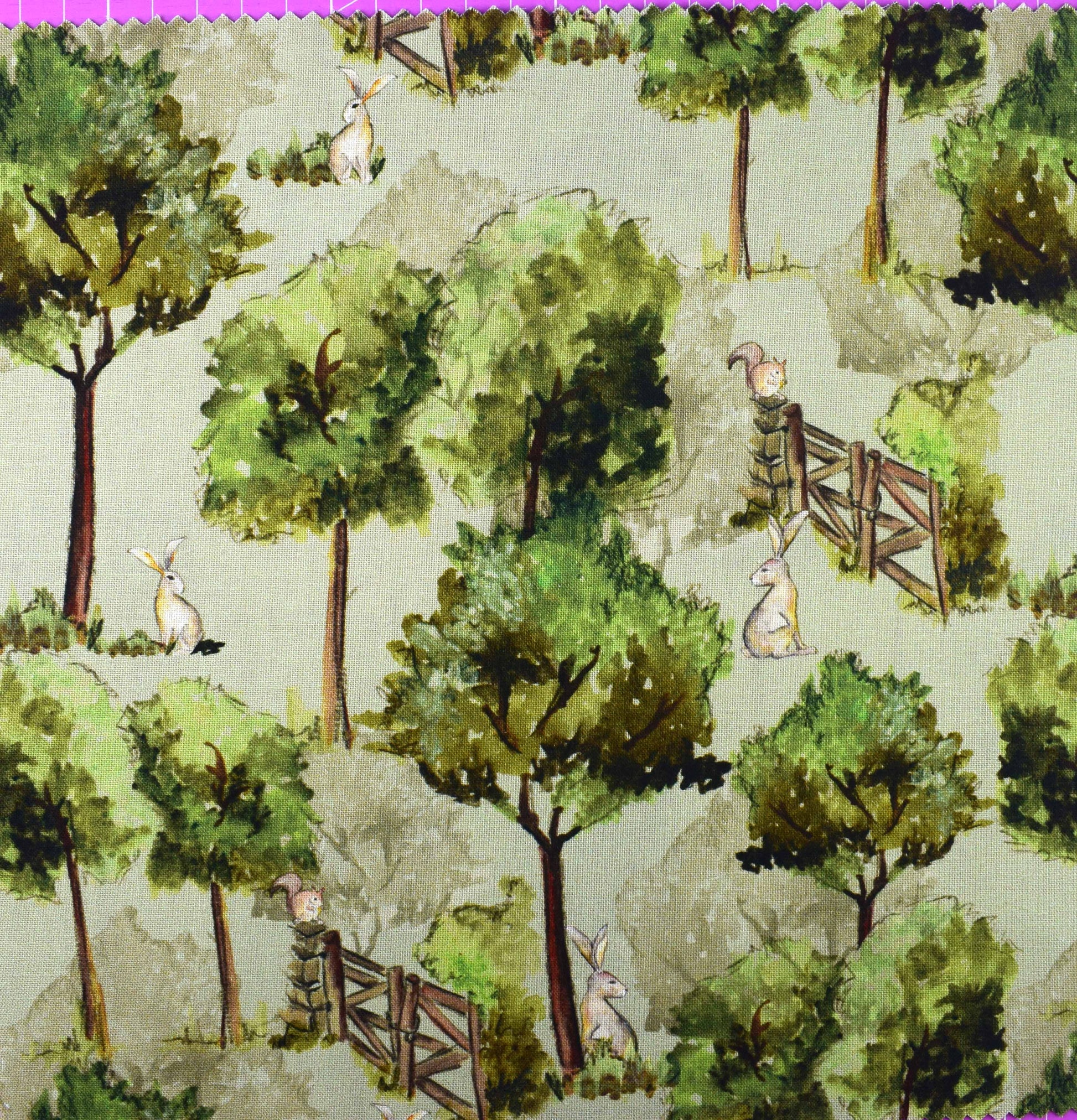 Country Walks by Debbie Shore, Organic Cotton Charm Pack - The Quilt Sanctuary