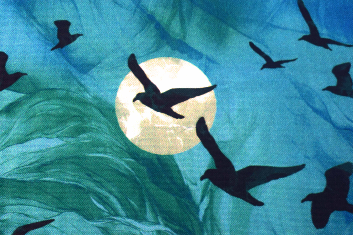 Blue raven fabric with moons for quilting - Price per half Metre