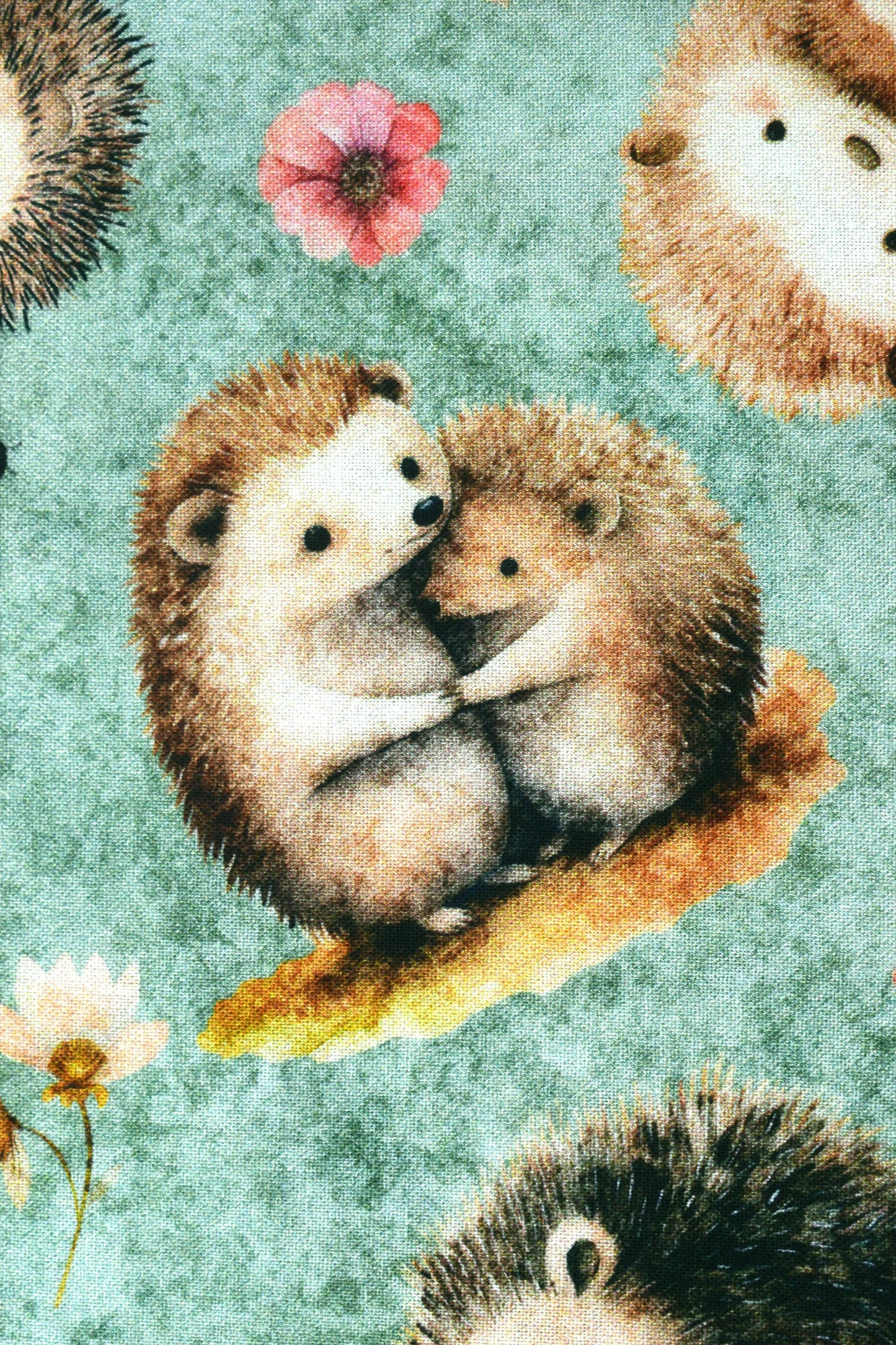 Hedgehog fabric, Quilting fabric, Hedgehugs -  Price by the Half Metre