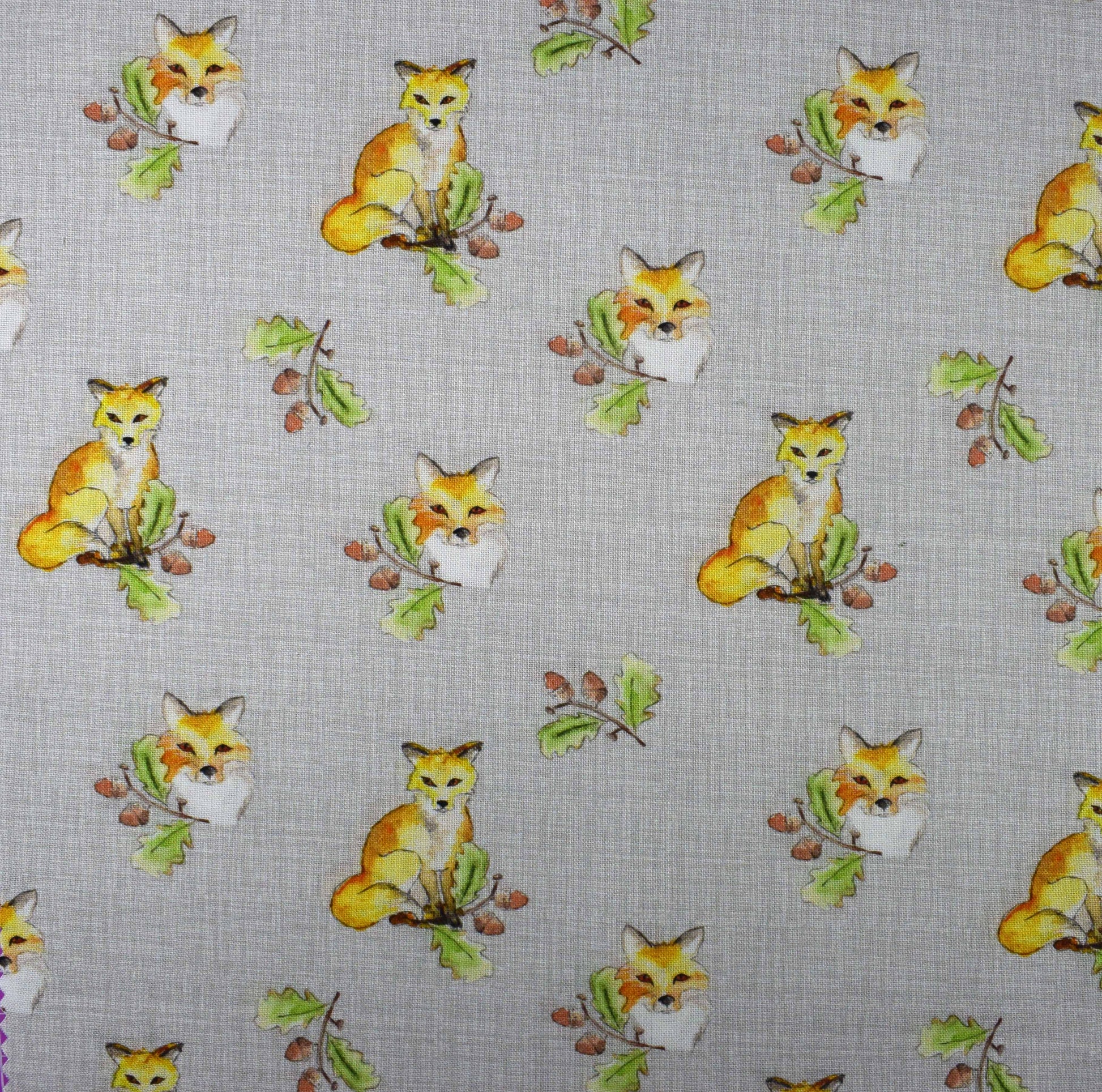 Country Walks by Debbie Shore, Organic Cotton Charm Pack - The Quilt Sanctuary