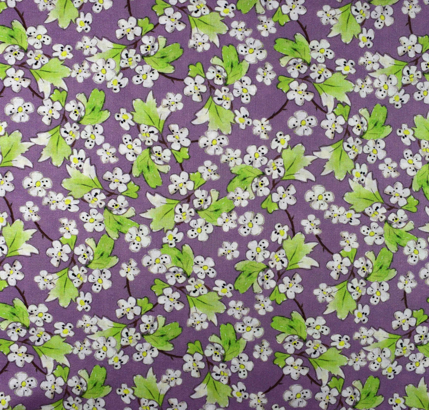 Country Walks by Debbie Shore, Organic Cotton Charm Pack - The Quilt Sanctuary