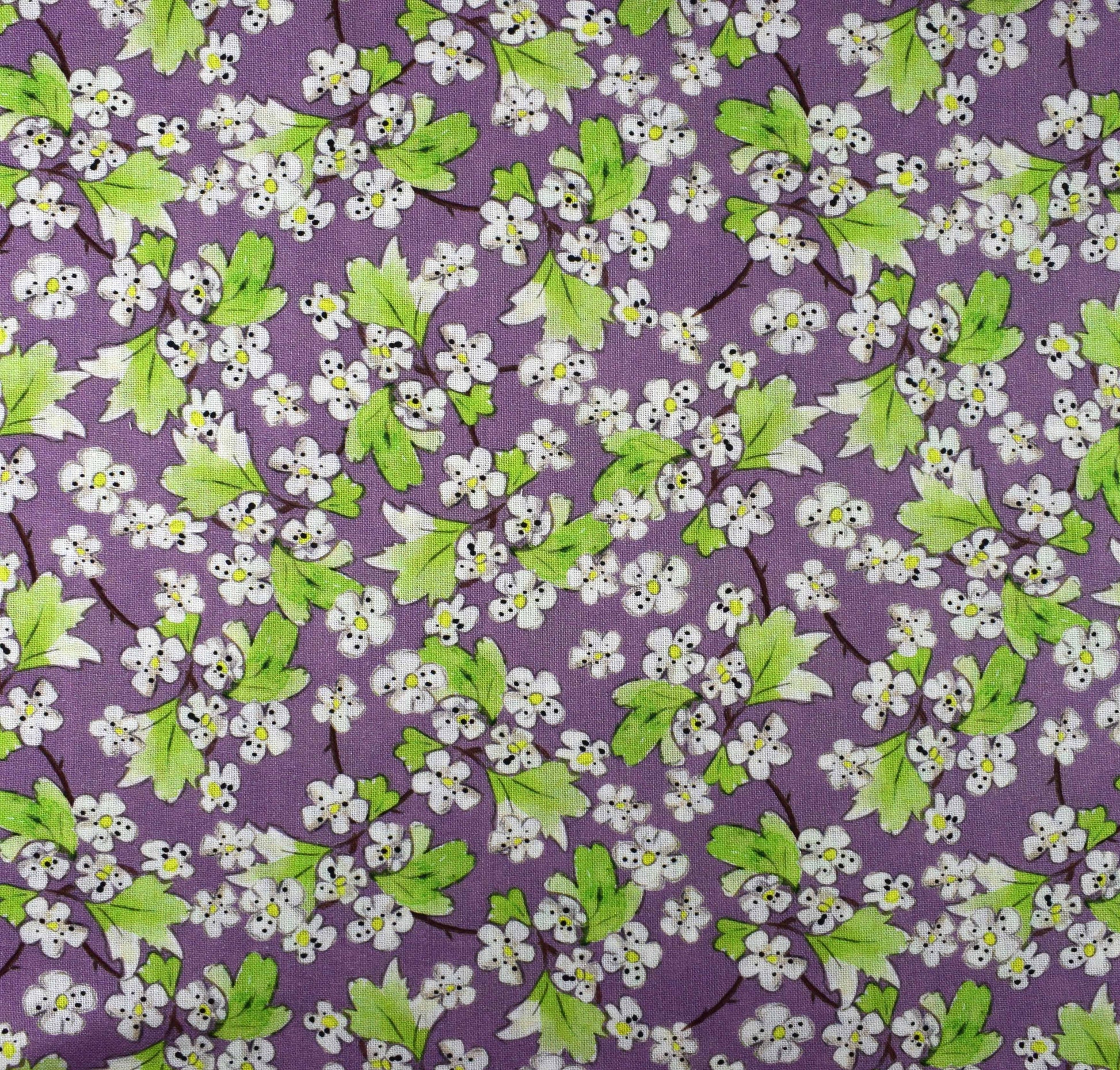 Country Walks by Debbie Shore, Organic Cotton Charm Pack - The Quilt Sanctuary